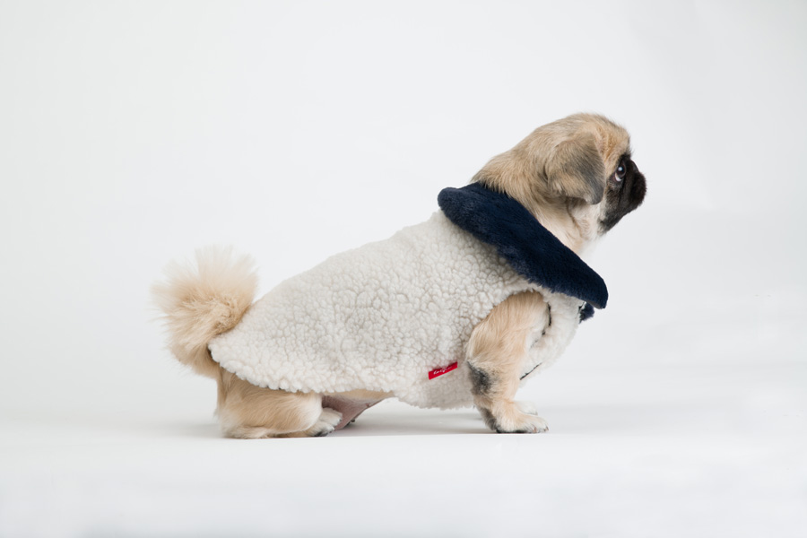 강아지겨울옷